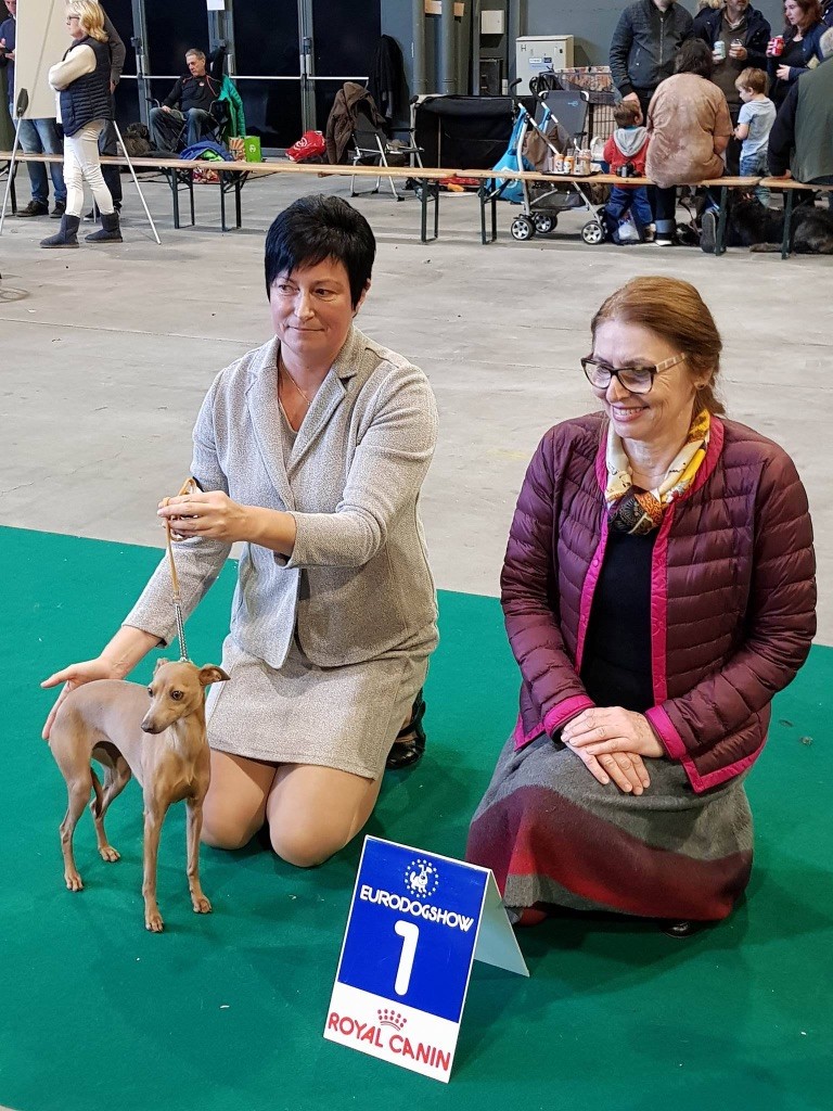 Cana Del Vento - Expo courtrai 2017