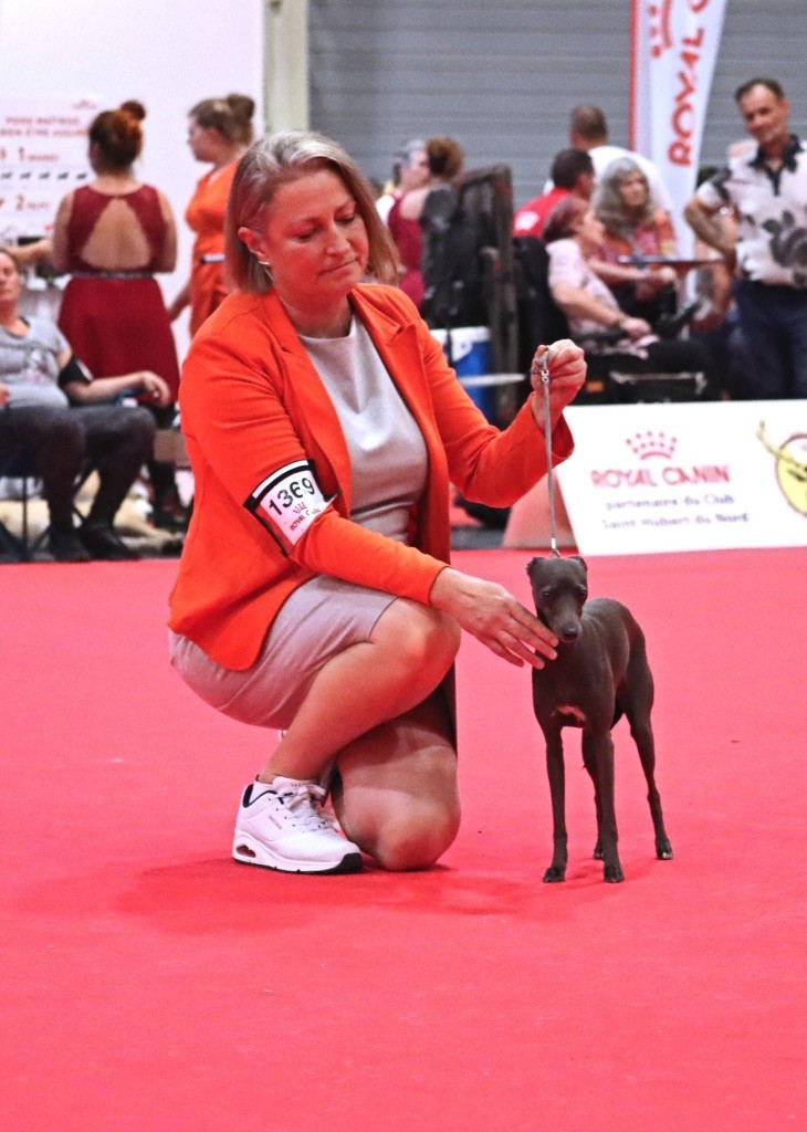Cana Del Vento - Internationale dog show Douai in Frankrijk op 15 & 16/07/2023