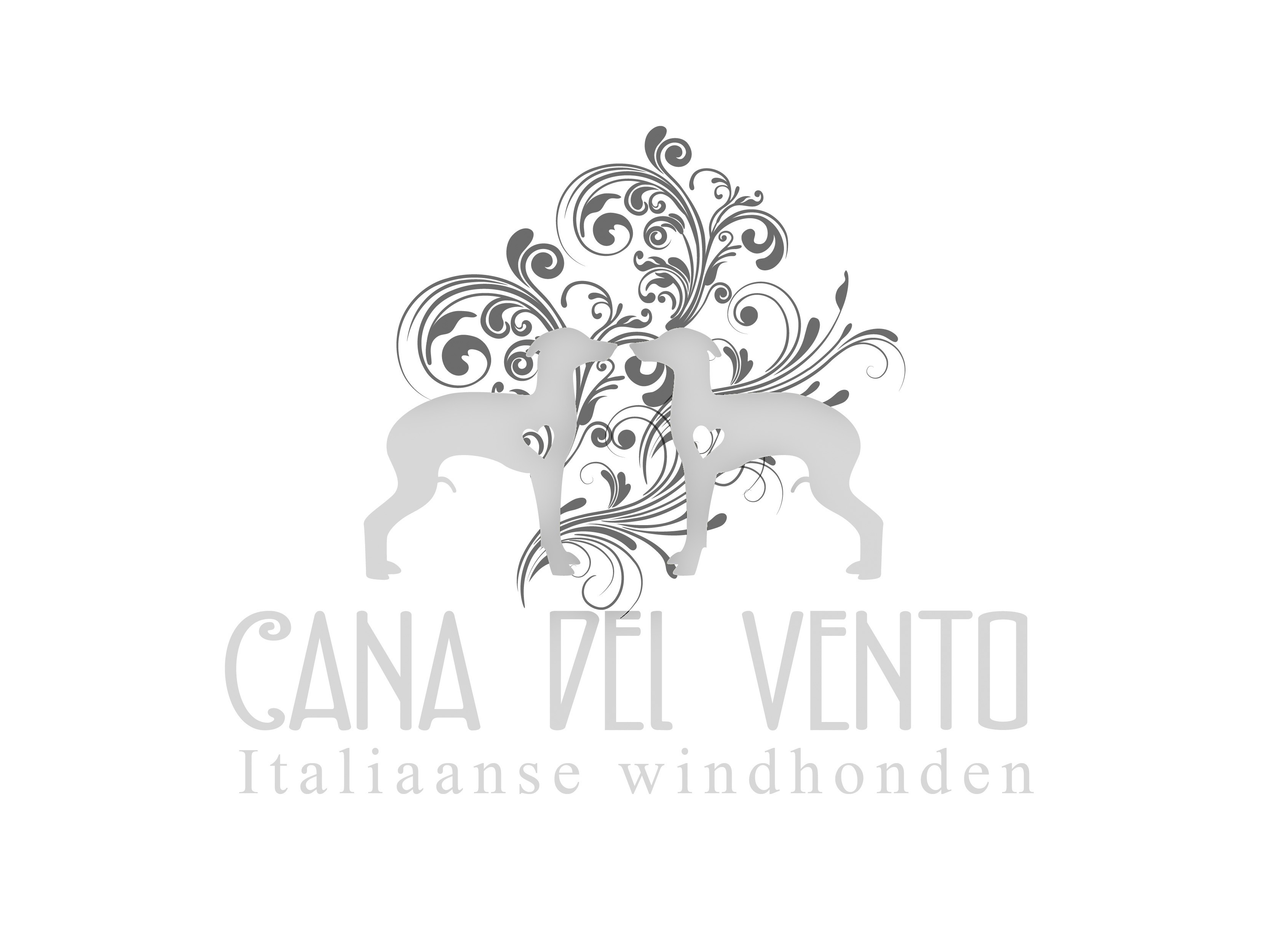 Cana Del Vento