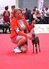  - Internationale dog show Douai in Frankrijk op 15 & 16/07/2023